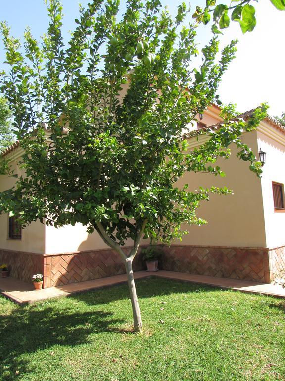 Casa Rural Oregano การ์โมนา ภายนอก รูปภาพ